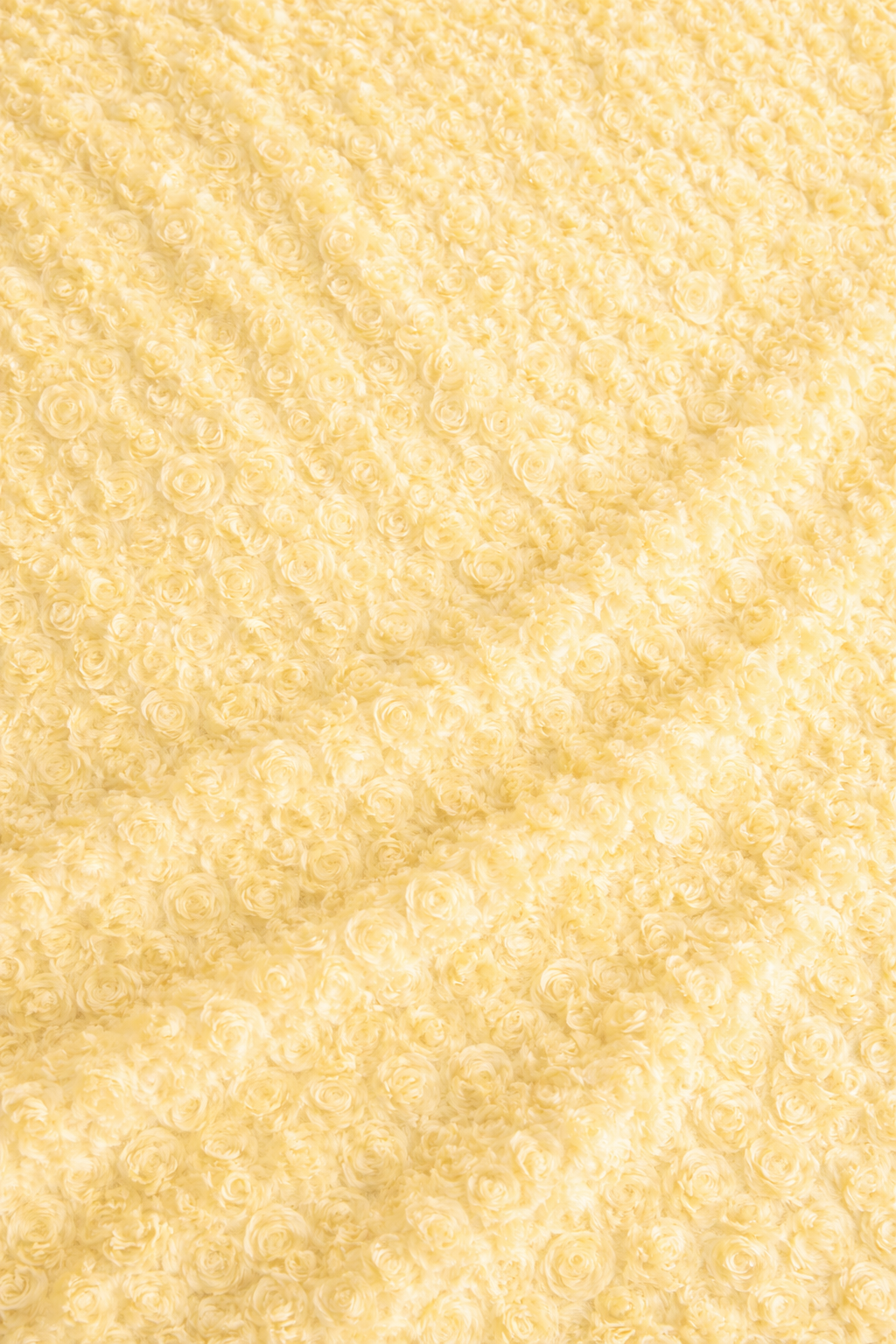 Remolino Mantequilla x Metro 03987