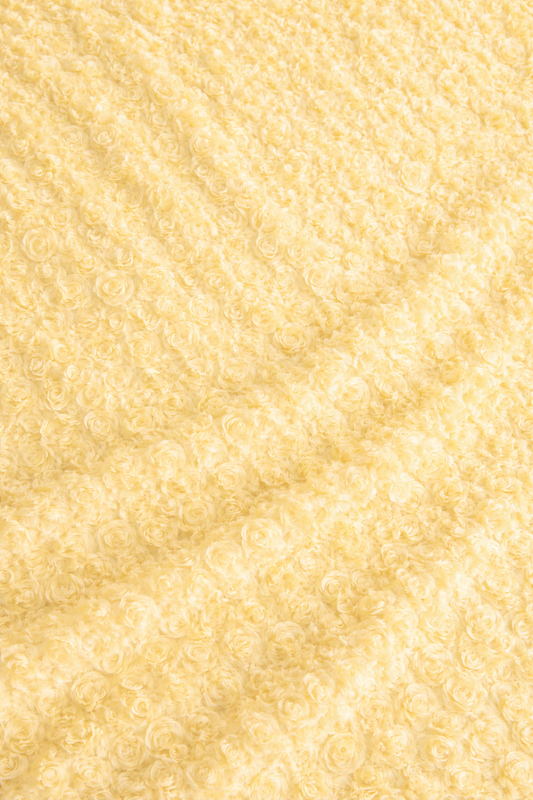 Remolino Mantequilla x Metro 03987