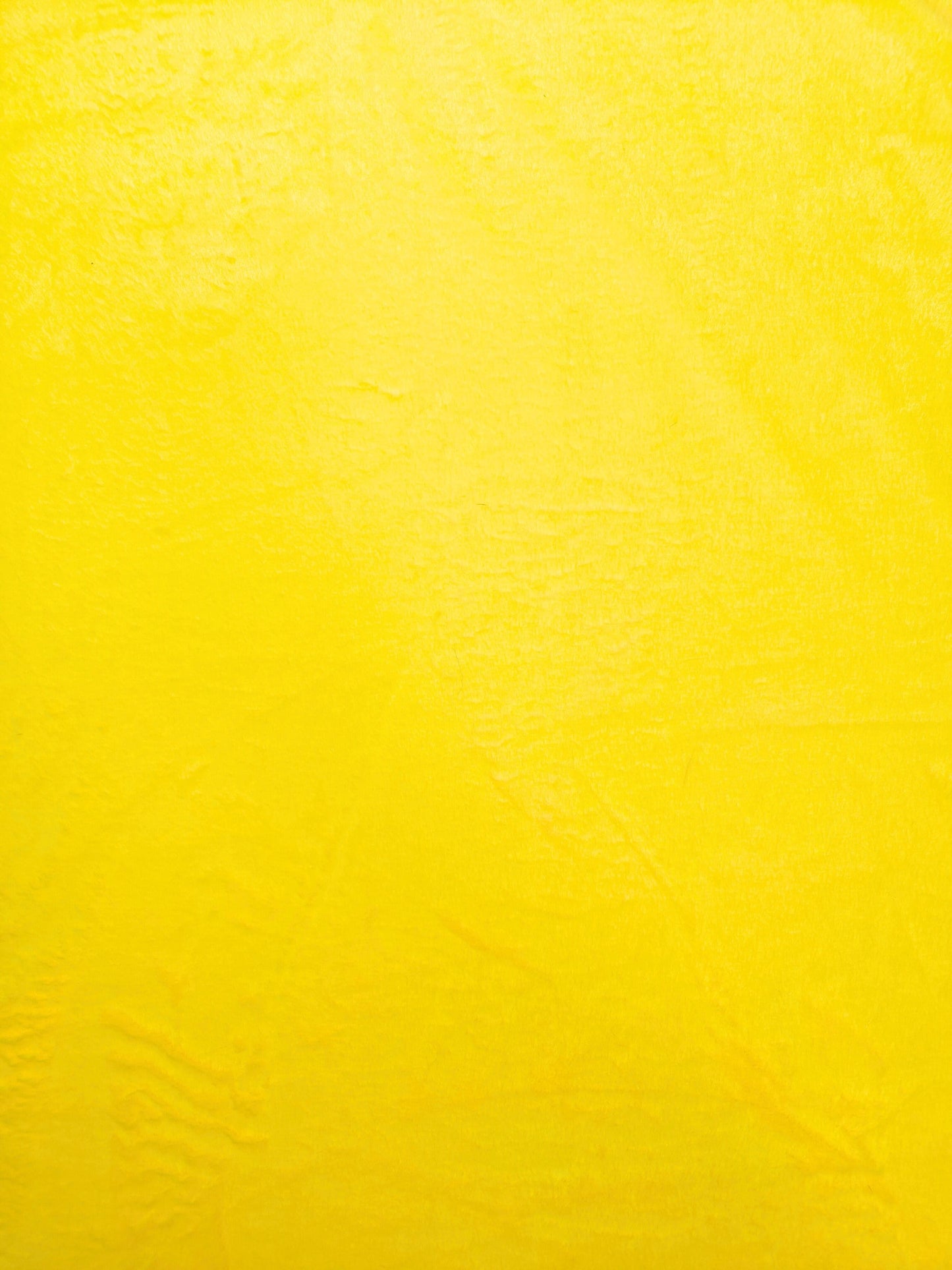 Rabbit Amarillo Unicolor x Metros Ref. 12992